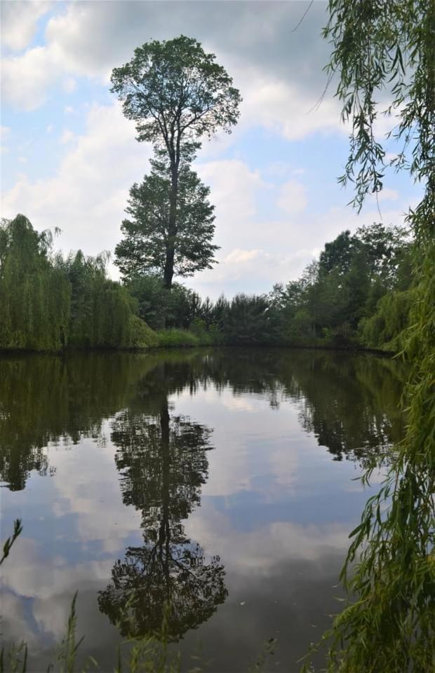 Przystan * Rudniki (Olesno)